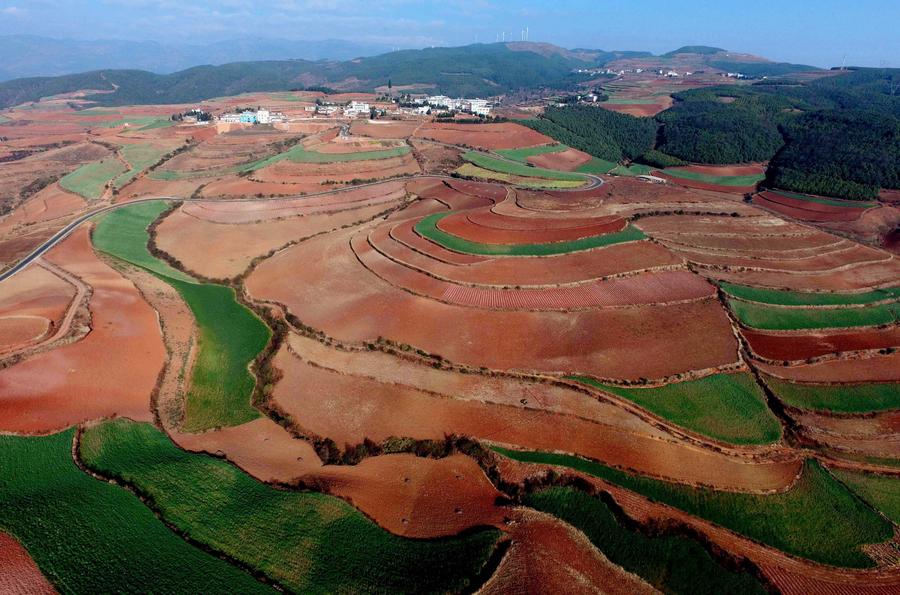 Scenery of red earth terraces in SW China's Kunming