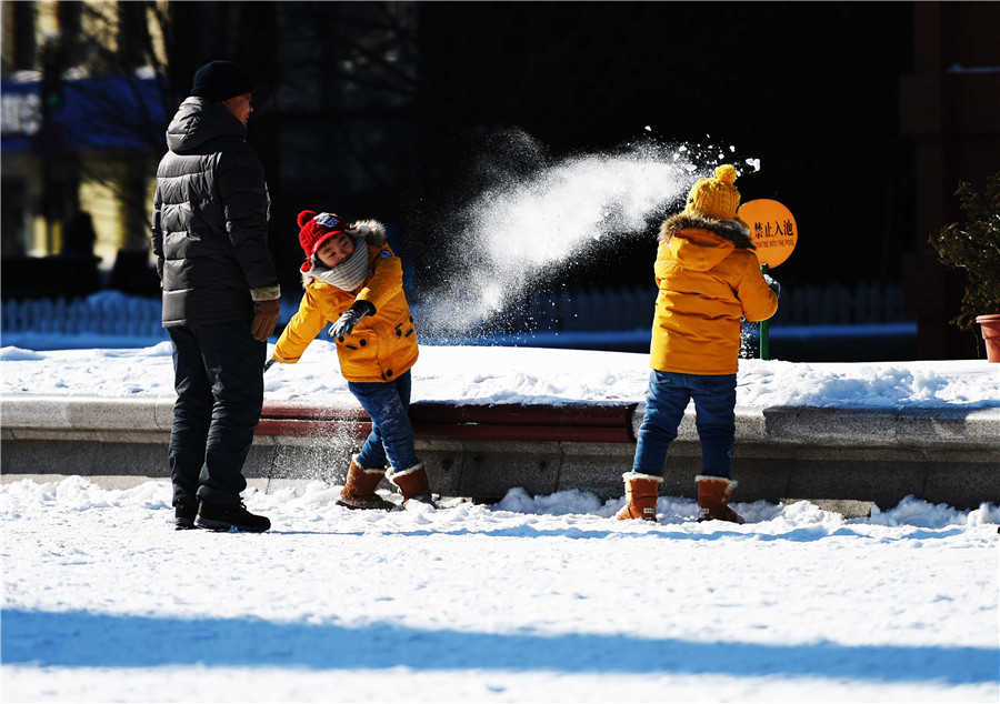 Snow blankets Harbin