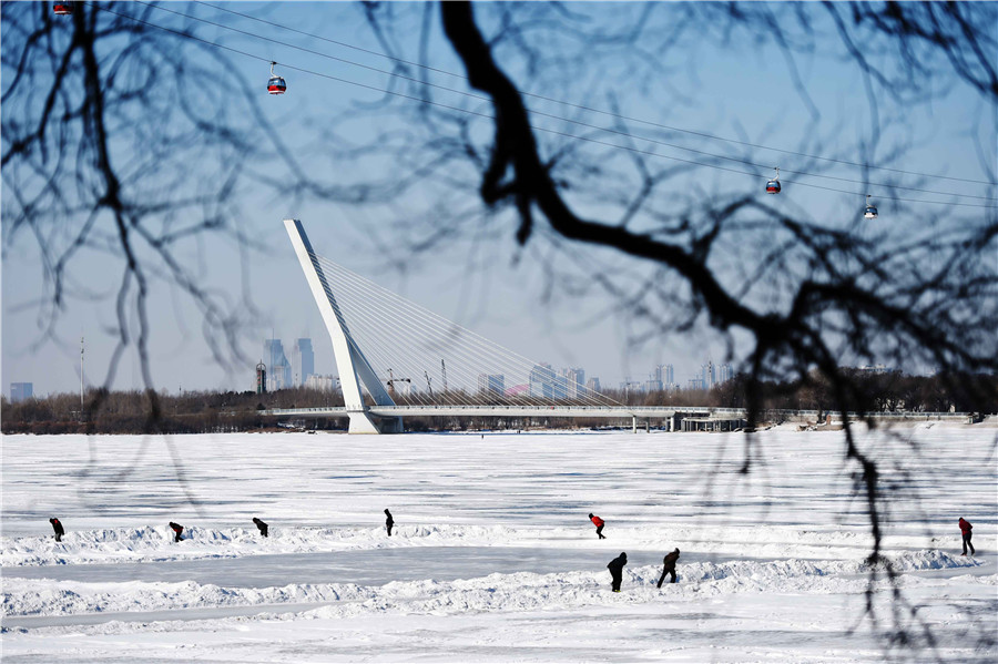 Snow blankets Harbin