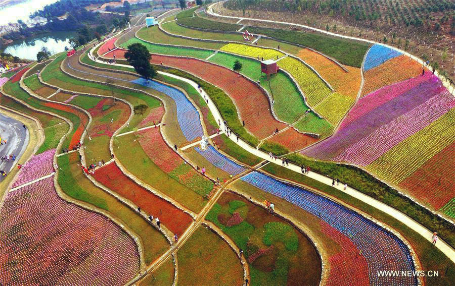 Scenery of tulip fields in Xinyu, East China