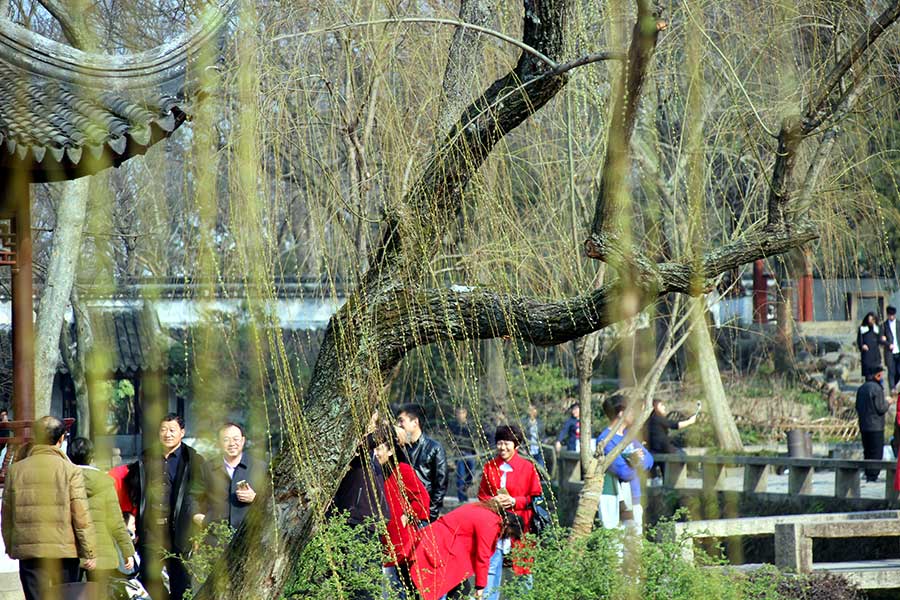 Zhuozheng garden in Suzhou gets spring color