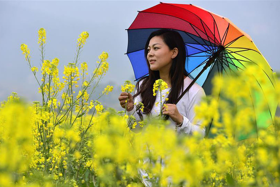 Tourists pose for photos among cole flowers in E China