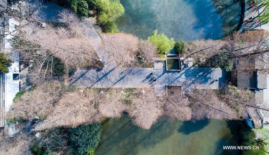 Spring scenery of Baohe Park in E China's Hefei