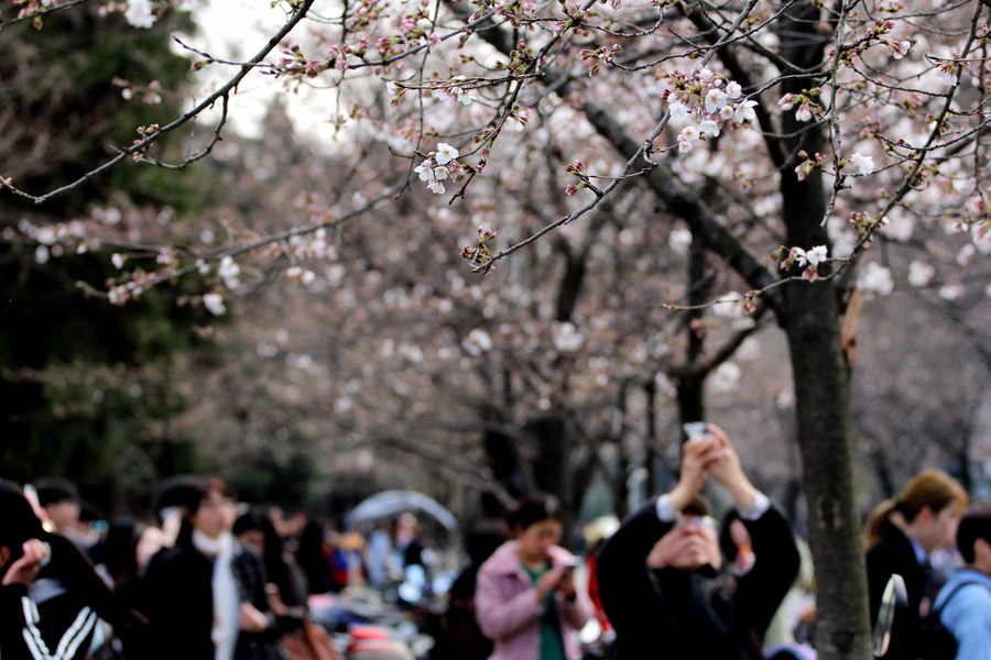 People enjoy spring scenery across China