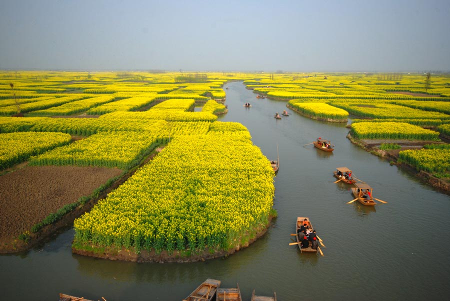 10 places to enjoy canola flowers in China