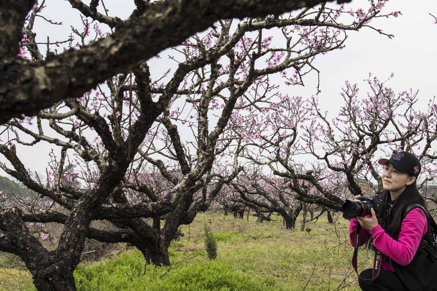 Spring scenery of Fengshan town in Hubei