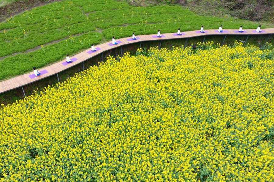 Yoga fans practise yoga on farmland of flowers in Zhangjiajie