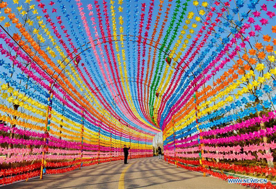 In pics: Pinwheel and Kite Festival in North China's Tangshan