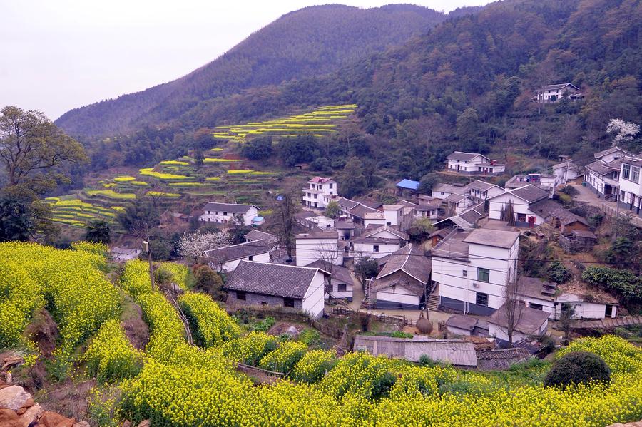 Ecological conditions improve in Wanli district, Nanchang city