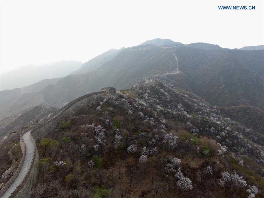 Spring scenery of Mutianyu section of Great Wall in Beijing