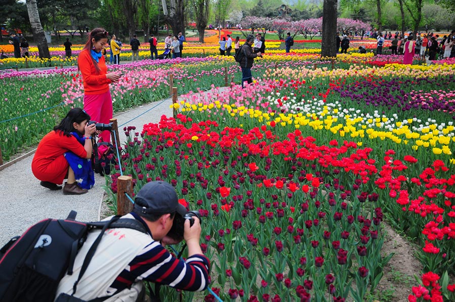 Time to admire flowers