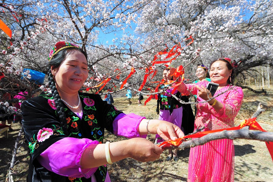 Third Apricot Flower and Butterfly Festival kicks off