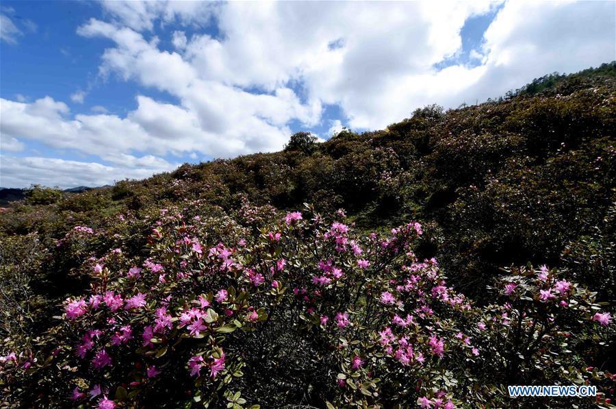 Amazing scenery in Lanping county, Yunnan