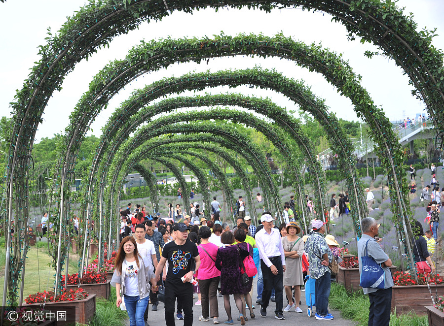 Crowds flock to free Vanilla Garden in Shanghai