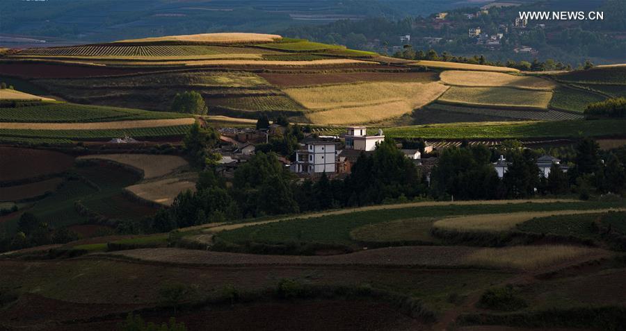 Scenery of Dongchuan Red Land in Yunnan