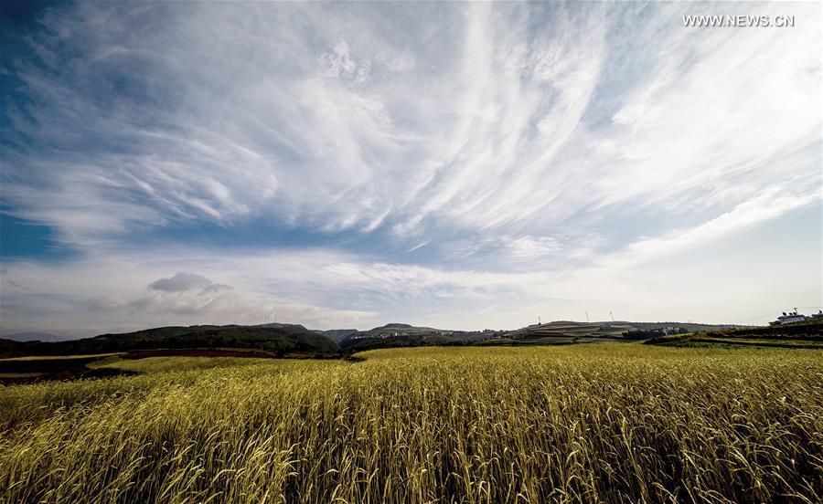 Scenery of Dongchuan Red Land in Yunnan