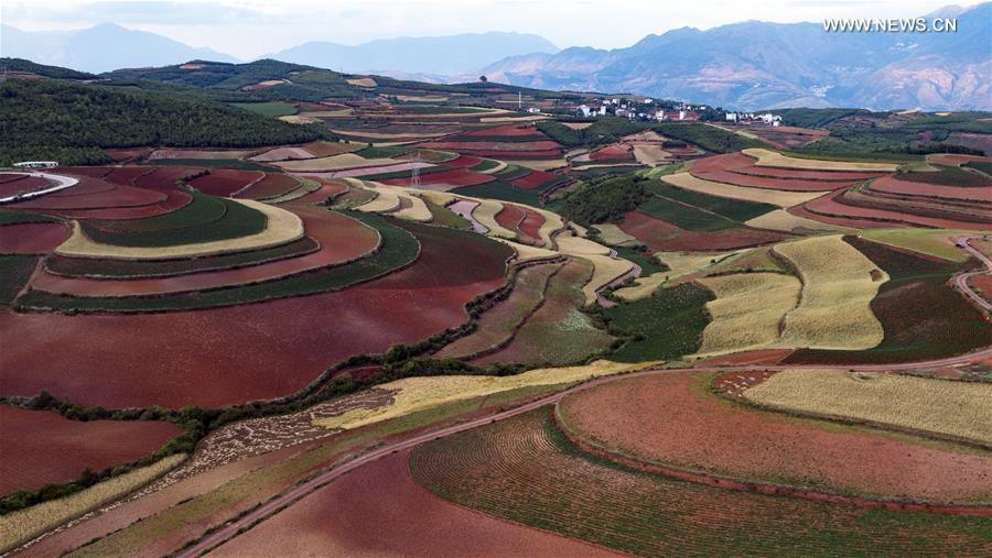 Scenery of Dongchuan Red Land in Yunnan