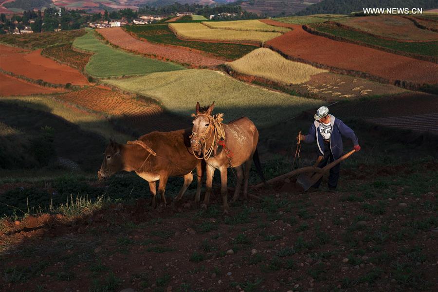 Scenery of Dongchuan Red Land in Yunnan