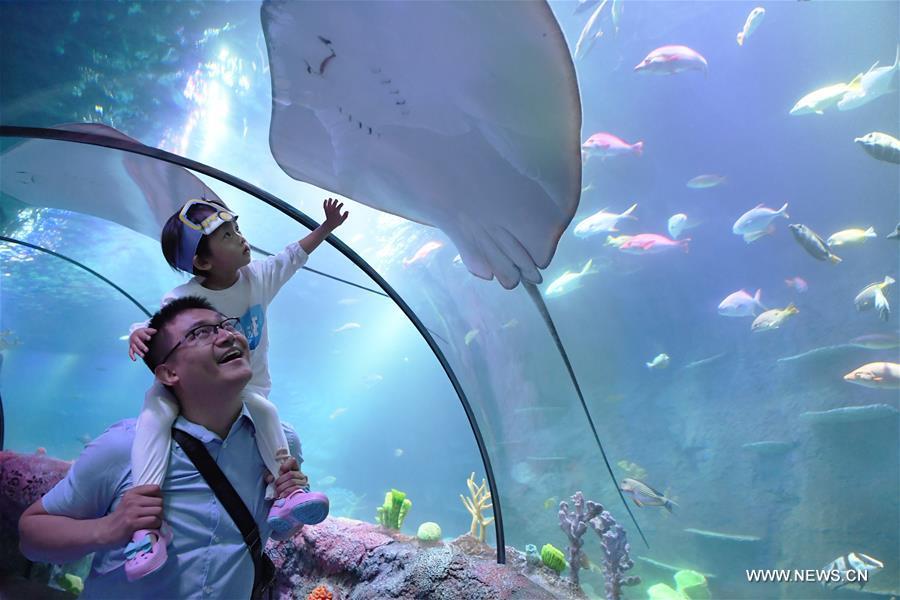 Sea Life aquarium center opens in SW China