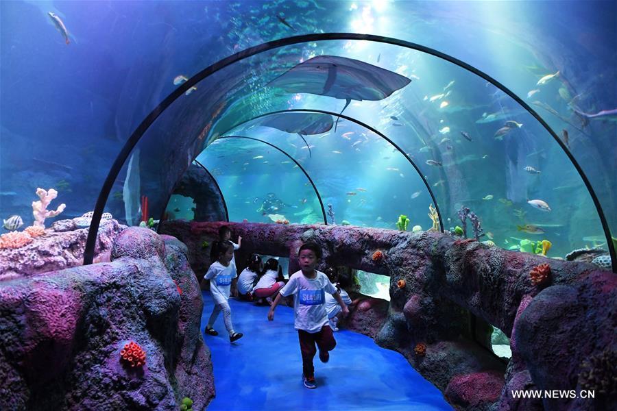 Sea Life aquarium center opens in SW China