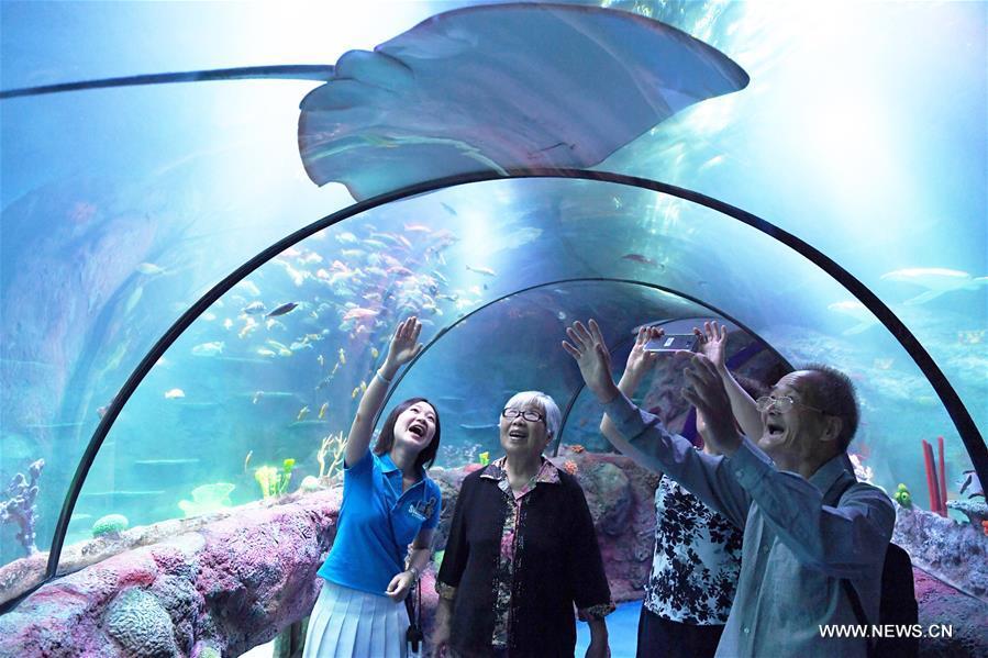 Sea Life aquarium center opens in SW China