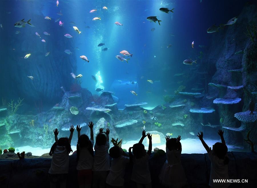 Sea Life aquarium center opens in SW China