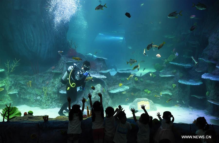 Sea Life aquarium center opens in SW China