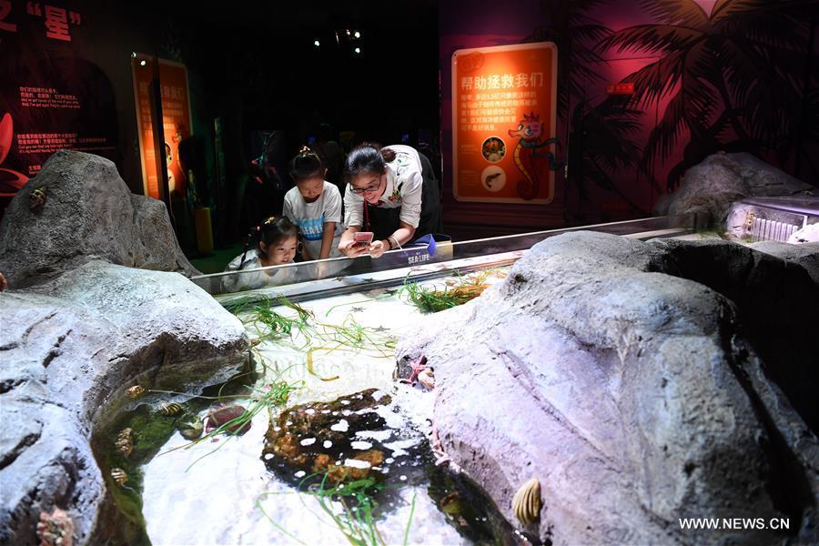 Sea Life aquarium center opens in SW China