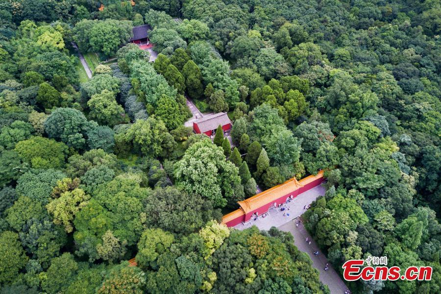 World Cultural Heritage - Xiaoling Mausoleum