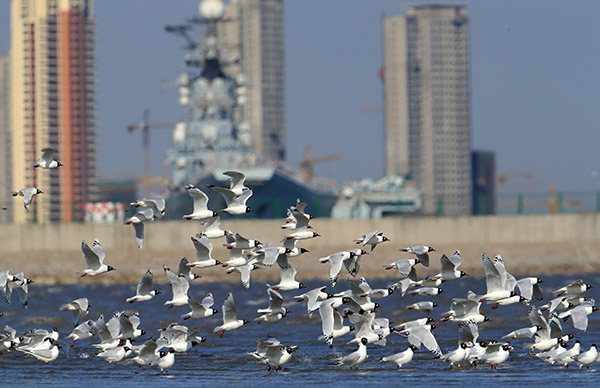 Beijing, Tianjin, Hebei to offer 144 hours visa-free