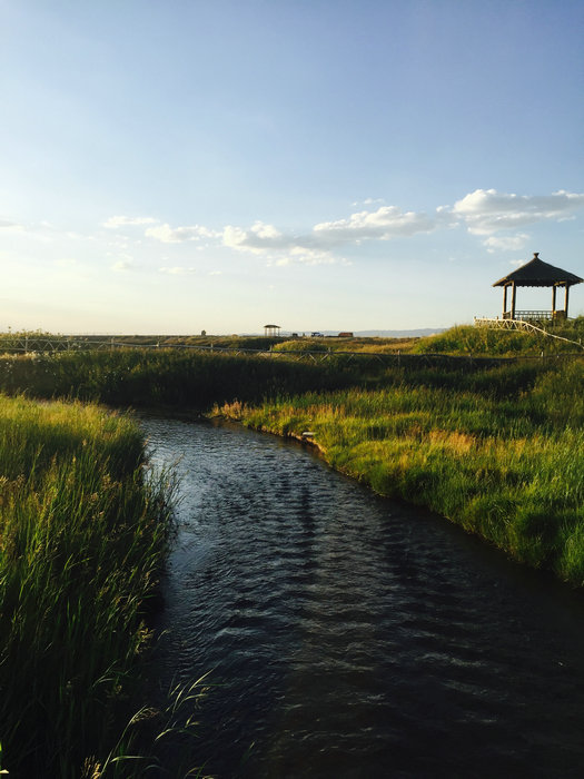 Natural beauty of Gaojiahu wetland in Xinjiang's summer