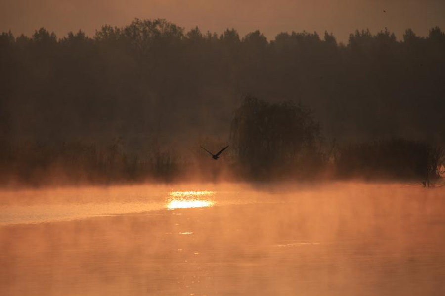 Jingyuetan, a paradise for wildlife