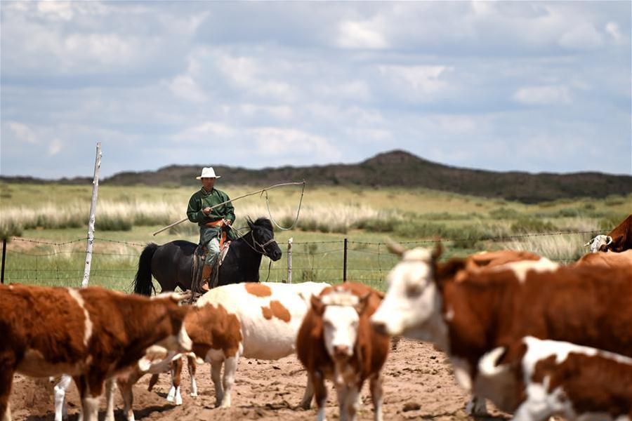 A glance at Inner Mongolia's better ecosystem