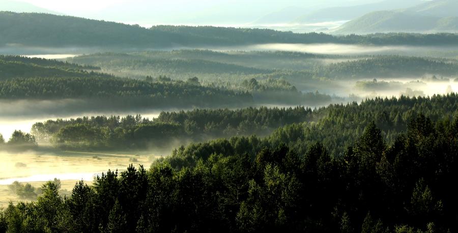 Scenery of Saihanba in N China