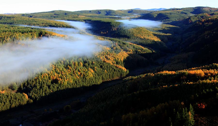 Scenery of Saihanba in N China