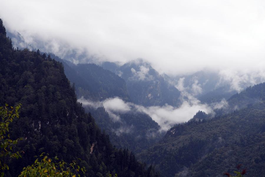 Scenery of Guanegou National Forest Park in China's Gansu