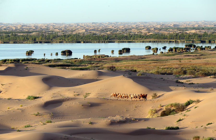 Transformation of Kubuqi Desert: From barren sand dunes to enchanting paradise