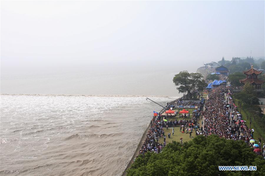 Qiantang tidal bore reaches peak