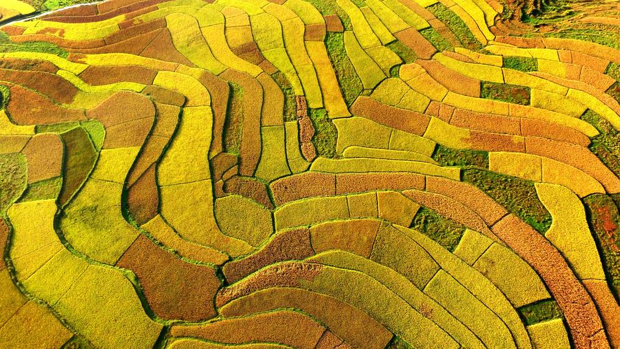 Colors of autumn around China