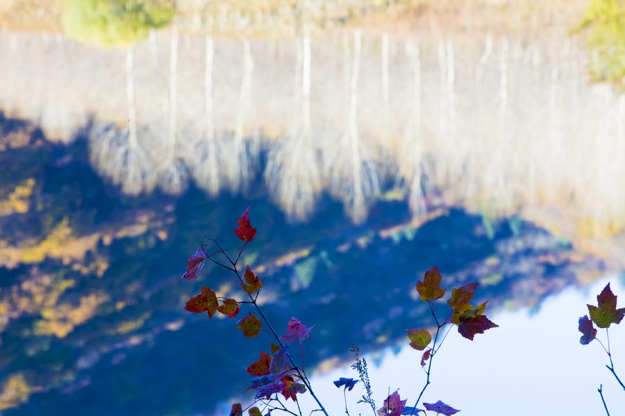 Colors of autumn around China