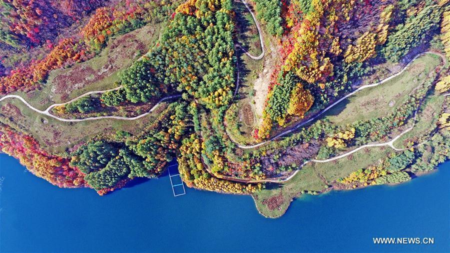 Autumn scenery in NE China's Liaoning