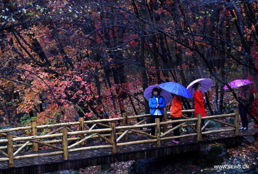 Autumn scenery in NE China's Liaoning