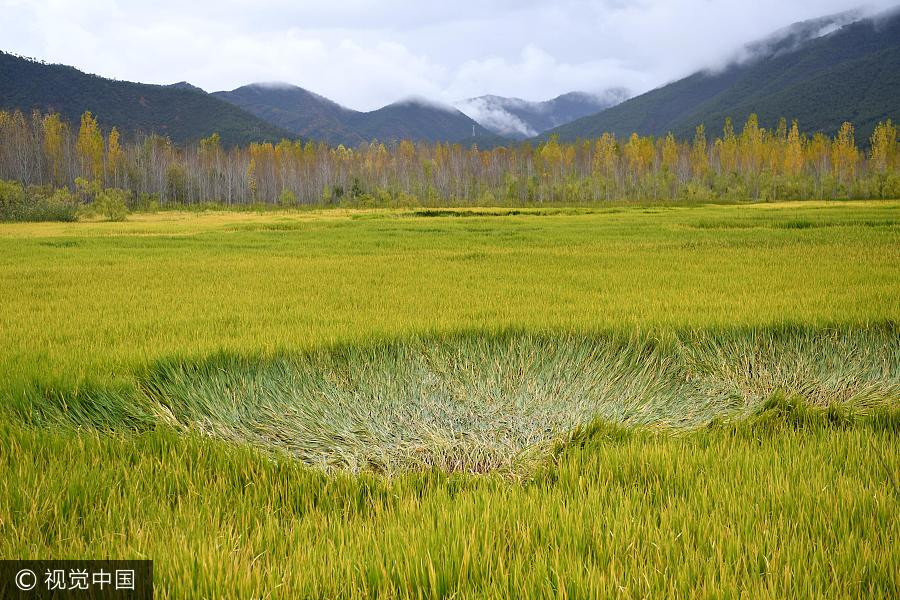 Splendid autumn scenery of Lugu Lake