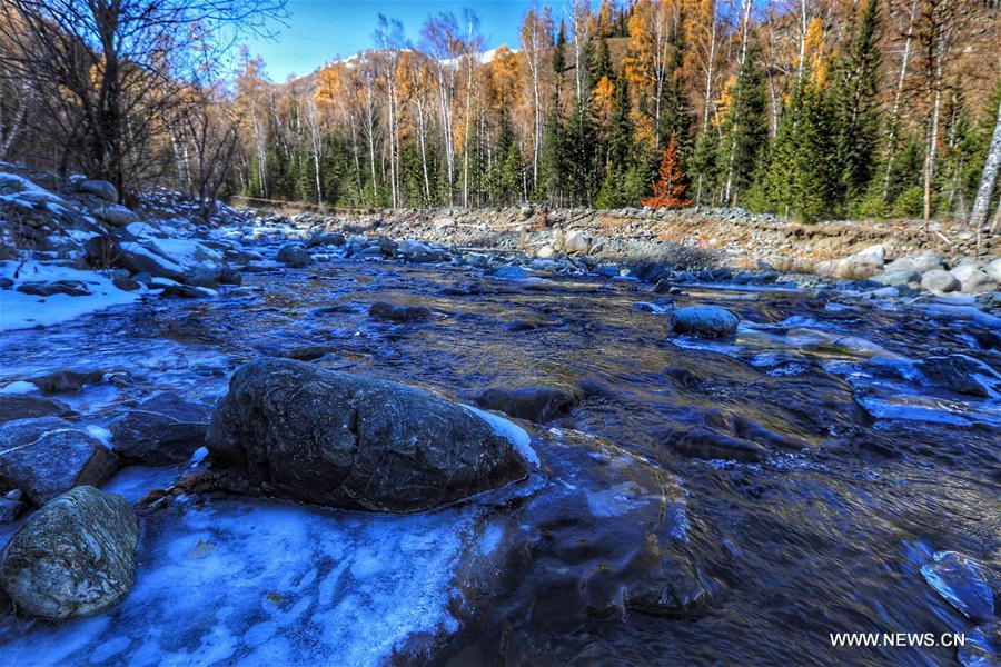 Autumn scenery of Kanas scenic area in China's Xinjiang