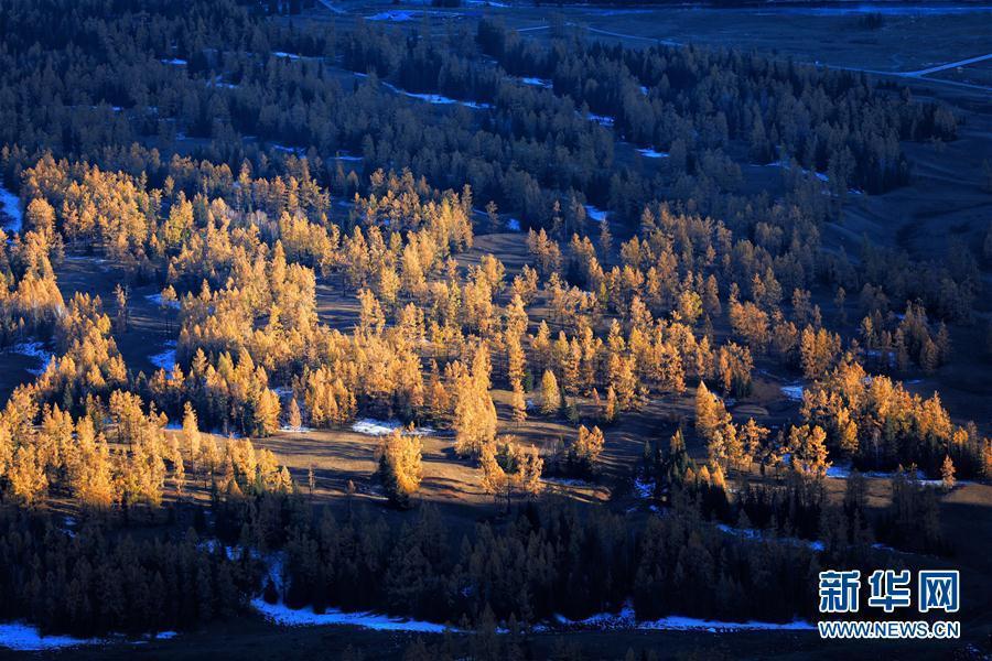 Kanas in Xinjiang at its colorful best