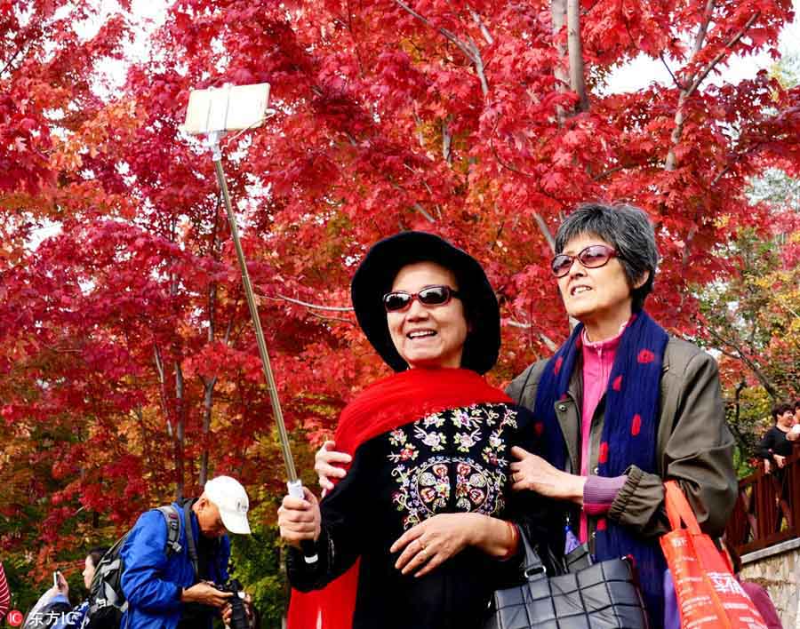 Beijing embraces vibrant colors of autumn
