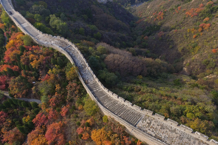 Badaling Great Wall bursting with autumn colors