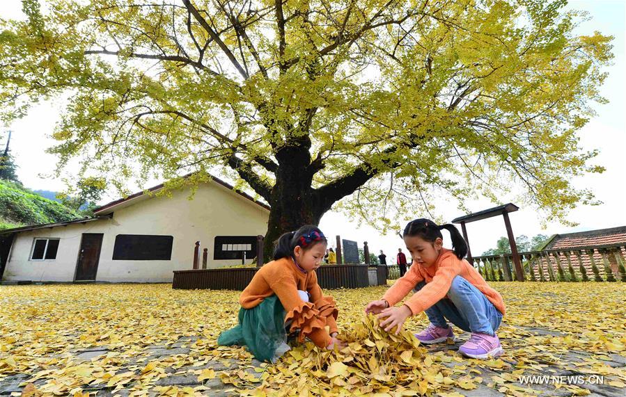 Stunning snapshots from autumn scenery across China