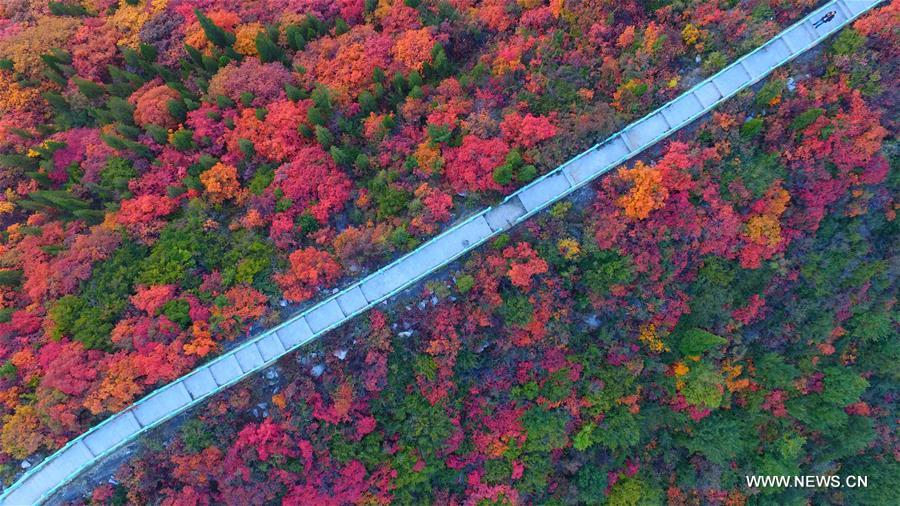 Stunning snapshots from autumn scenery across China