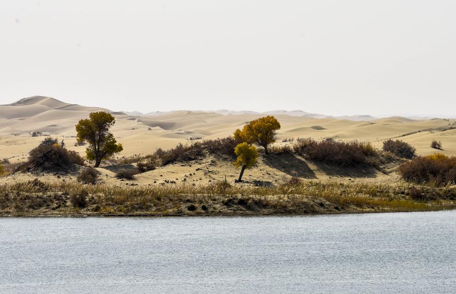 Scenery of Daxihaizi Reservoir on Tarim River in Xinjiang